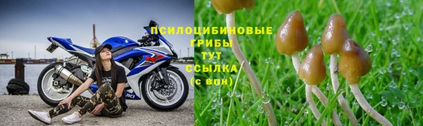бутик Аркадак