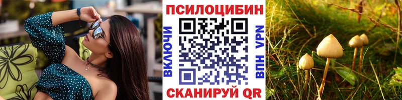 Купить закладки  Десногорск  Псилоцибиновые грибы мухоморы 